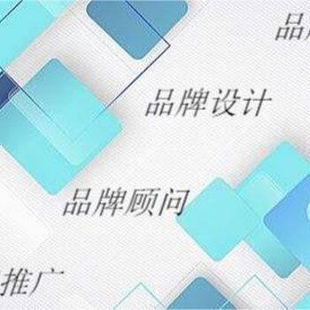 打造企業(yè)品牌形象 戰(zhàn)略設(shè)計與專業(yè)建設(shè)指南